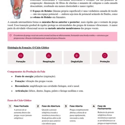 Fonoaudiologia ENARE 2026/2027