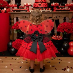 Vestido Temático - Joaninha