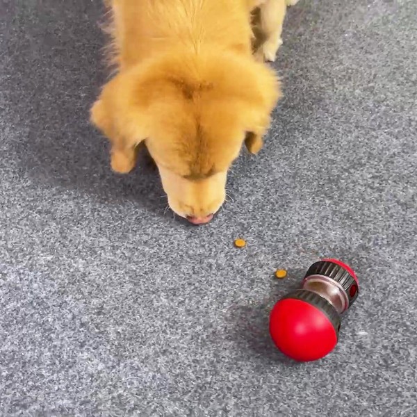 Brinquedo Interativo para cães e gatos Brinquedo esconde ração