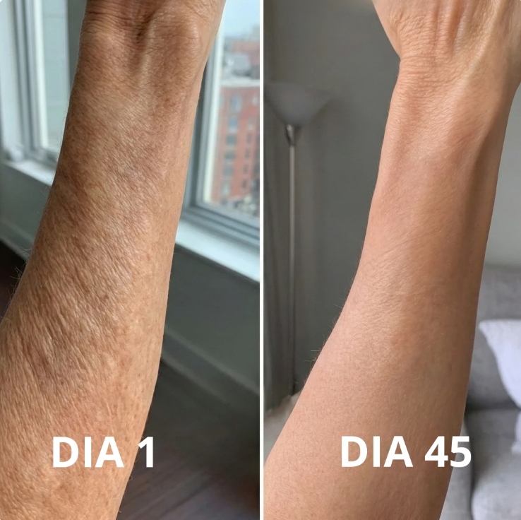 Descrição da imagem