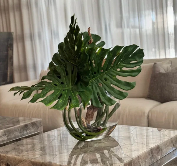Vaso Moon com Folha de Monstera e Madeira de Deriva