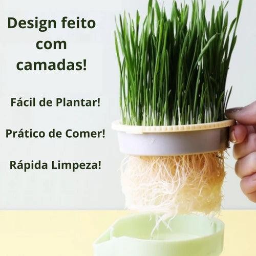 Vaso Auto irrigável de grama para Gatos + Kit Plantio 
