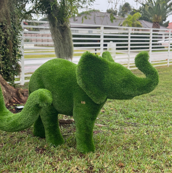 Elefante Pequeno