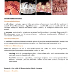 Medicina Veterinária ENARE 2026/2027
