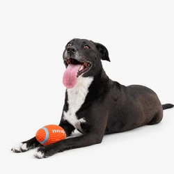 Sport Rugbyball