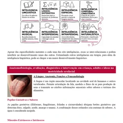 Fonoaudiologia ENARE 2026/2027