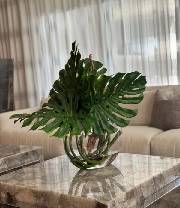 Vaso Moon com Folha de Monstera e Madeira de Deriva