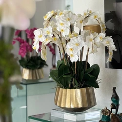 Vaso Barco Helena com Orquídeas Phalaenopsis Brancas