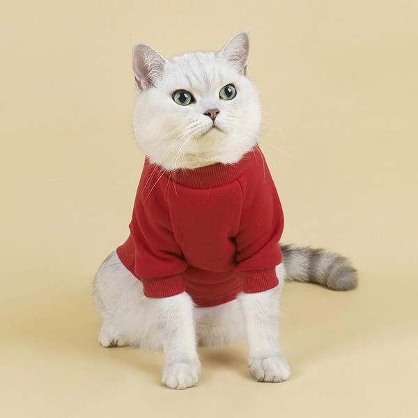 Sueter de Inverno para Gatos