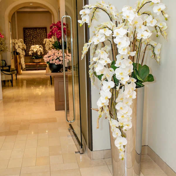 Orquídeas Phalaenopsis em Cascata em Cone Afunilado de Aço Inoxidável Polido