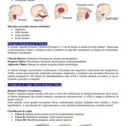 Odontólogo - Ministério da Saúde