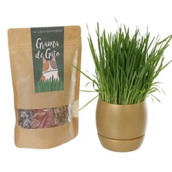  KIT PLANTIO + Vaso Auto irrigável de grama para Gatos
