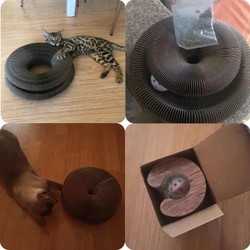 Brinquedo arranhador para Gatos