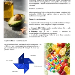 Nutricionista - SESAU AL