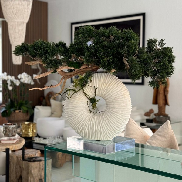 Vaso Eternity Médio com Bonsai Pendente e Madeira de Deriva