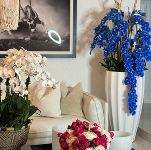 Vaso San Jose Branco com Orquídeas Azuis em Cascata
