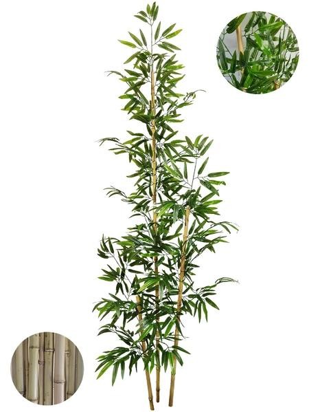 Bambu Artificial Grande Mosso
