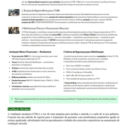 Fisioterapeuta - SES TO
