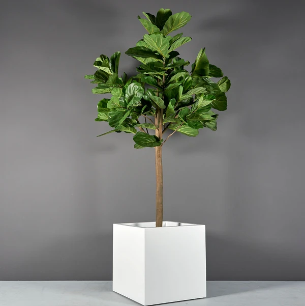 Vaso Montroy Cube