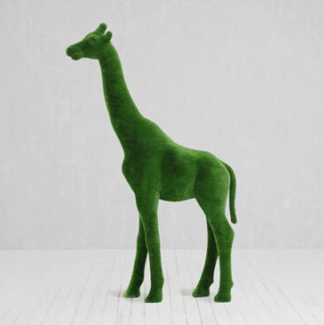 Girafa Grande