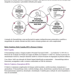 Fonoaudiólogo - SES / DF