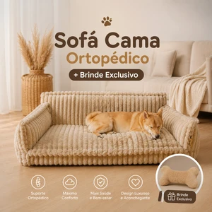 Sofá Cama Ortopédico + Brinde Exclusivo