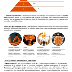 Psicólogo - Embu das Artes SP