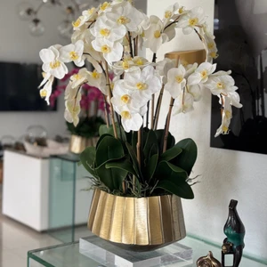Vaso Barco Helena com Orquídeas Phalaenopsis Brancas