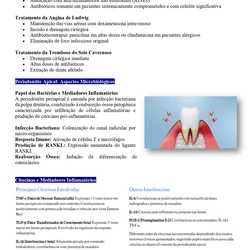 Cirurgião Dentista - Embu das Artes SP