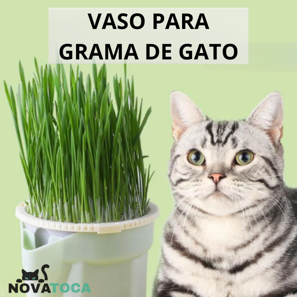 Vaso Auto irrigável de grama para Gatos + Kit Plantio 
