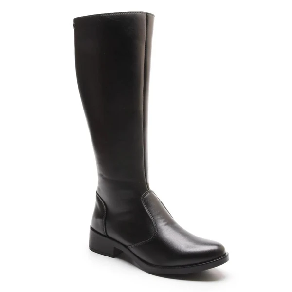 Bota Feminina Montaria Bico Fino Cano Alto 