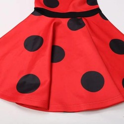 Fantasia Ladybug -  Miraculous Verão