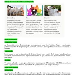 Médico Veterinário - Embu das Artes SP