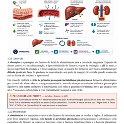 Farmacêutico - Jundiaí SP