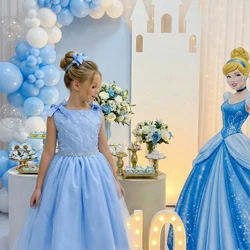 Vestido Temático Inspiração - Cinderela  