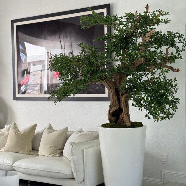 Bonsai Artificial de Oliveira Preta em Vaso Belle Branco Brilhante