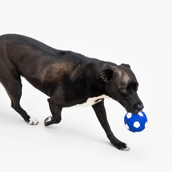 Sport Football