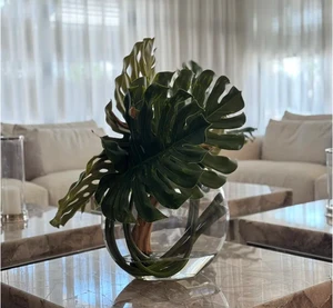 Vaso Moon com Folha de Monstera e Madeira de Deriva