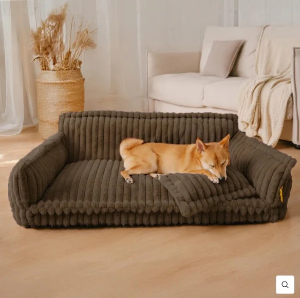 Sofá Cama Ortopédico + Brinde Exclusivo