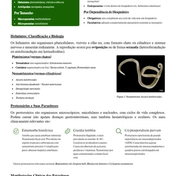 Médico da Família- Foz do Iguaçu PR