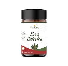 Erva Baleeira 60 caps - Nativos