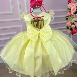 Vestido Fantasia Luxo - Jardim Encantado Amarelo - Acompanha Asa