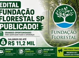 Edital Fundação Florestal SP publicado! Salários de até R$ 11,2 mil