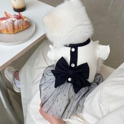 Vestido Princesa para Cães e Gato