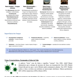 Biomedicina ENARE 2026/2027