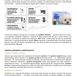 Medicina Veterinária ENARE 2026/2027