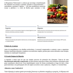 Nutrição ENARE 2026/2027