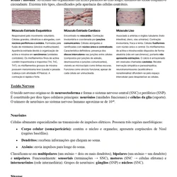 Biomedicina ENARE 2026/2027