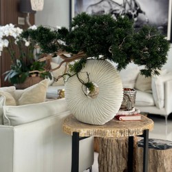 Vaso Eternity Médio com Bonsai Pendente e Madeira de Deriva