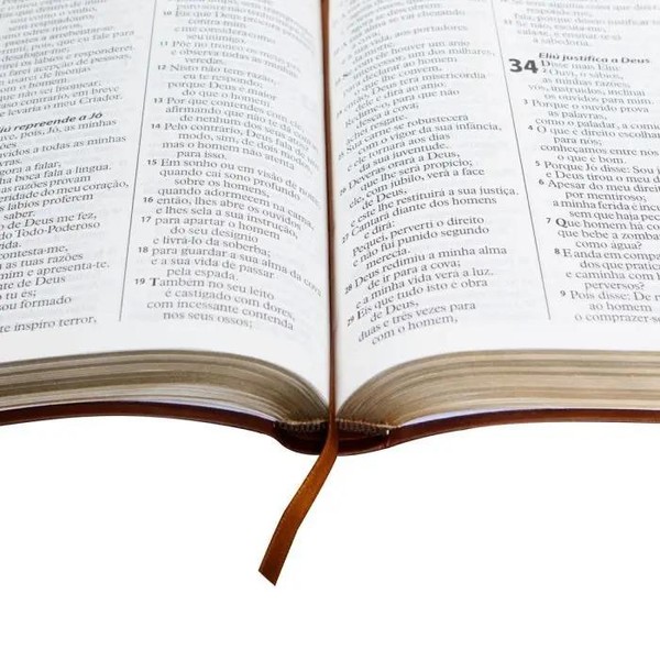 Libro Bíblia Sagrada ARA Letra Gigante | Letra Gigante SBB, de Sociedade Bíblica do Brasil. Editorial Sbb, tapa dura, en português